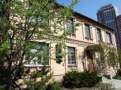 2009 р. Загальний вигляд