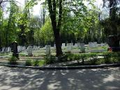 2010 р. Загальний вигляд