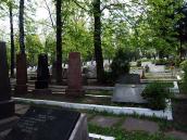 2010 р. Загальний вигляд