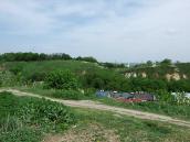 Замкова гора. Південна частина (повтор)