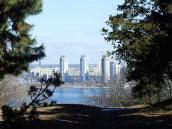 2011 р. Вид на Березняки із…