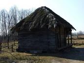 2011 р. Загальний вигляд