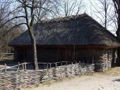 2011 р. Загальний вигляд