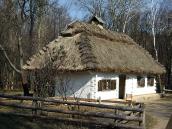 2011 р. Загальний вигляд