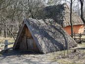 2011 р. Загальний вигляд на тлі…