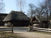 2011 р. Свининець і саж