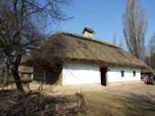 2011 р. Загальний вигляд