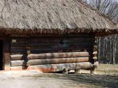 Фрагмент чільного фасаду