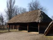 2011 р. Загальний вигляд