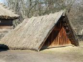 2011 р. Загальний вигляд