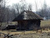 2011 р. Загальний вигляд