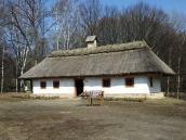 2011 р. Загальний вигляд