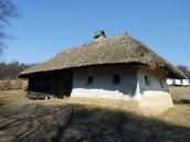 2011 р. Загальний вигляд