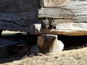 Стендар і кут зрубу