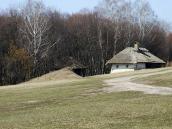 2011 р. Загальний вигляд (льох,…