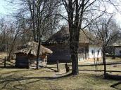 2011 р. Загальний вигляд (саж, хата)