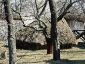 2011 р. Загальний вигляд ззаду