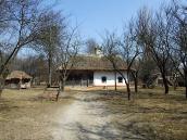 2011 р. Фронтальний вигляд (саж, хата,…