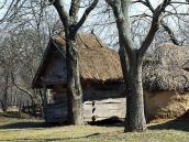 2011 р. Саж і курник