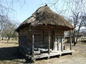 2011 р. Загальний вигляд