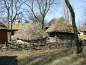 2011 р. Курник і саж. Вигляд з обійстя 9