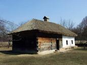 2011 р. Загальний вигляд