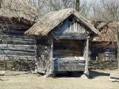 Саж із м-ка Зіньків