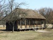 2011 р. Загальний вигляд