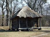 2011 р. Загальний вигляд