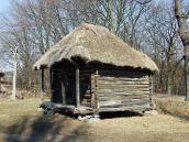 2011 р. Загальний вигляд