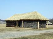 2011 р. Загальний вигляд