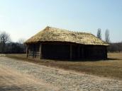 2011 р. Загальний вигляд