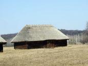 2011 р. Загальний вигляд