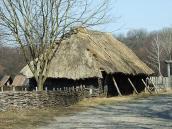 Хлів із с.Рижки