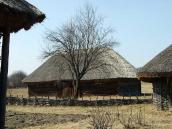 2011 р. Загальний вигляд з боку садиби 5