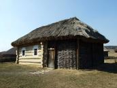 2011 р. Загальний вигляд з боку двора