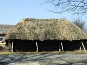 2011 р. Загальний вигляд з тильного боку