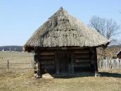 Стебка із с.Мединівка