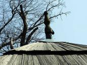 2011 р. Маківка бабинця