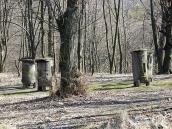 2011 р. Загальний вигляд