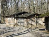 2011 р. Загальний вигляд