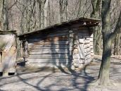 2011 р. Загальний вигляд