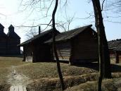 2011 р. Загальний вигляд з боку лісу