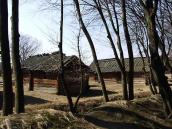 2011 р. Загальний вигляд з боку лісу