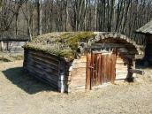 2011 р. Загальний вигляд