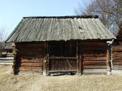 Тік із с.Біловіж