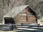 2011 р. Загальний вигляд з тильного боку