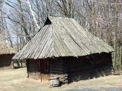 2011 р. Загальний вигляд