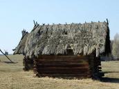 2011 р. Загальний вигляд збоку