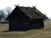 2011 р. Загальний вигляд